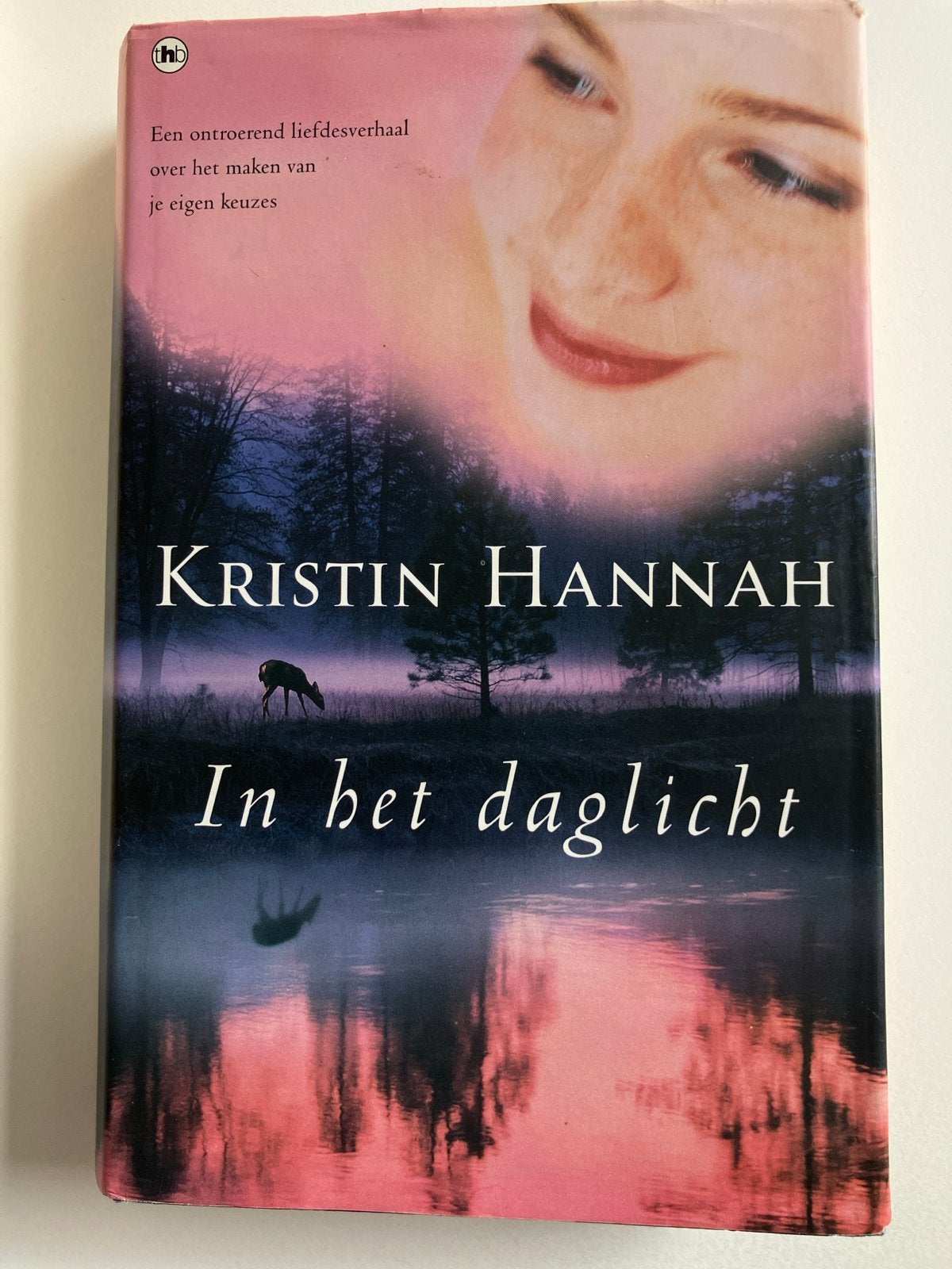 Kristin Hannah - In het daglicht (Ontroerend liefdesverhaal), Boeken, Romans, Ophalen of Verzenden, Gelezen, Nederland