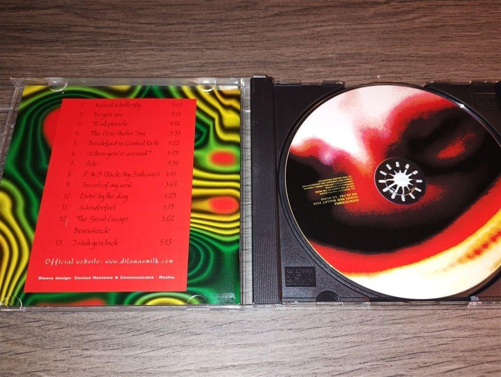 Dilana Smith - Wonderfool, Cd's en Dvd's, Ophalen of Verzenden, Zo goed als nieuw, Poprock