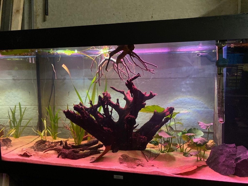 Juwel 350 liter aquarium, Dieren en Toebehoren, Ophalen, Gebruikt, Leeg aquarium, Verwarming