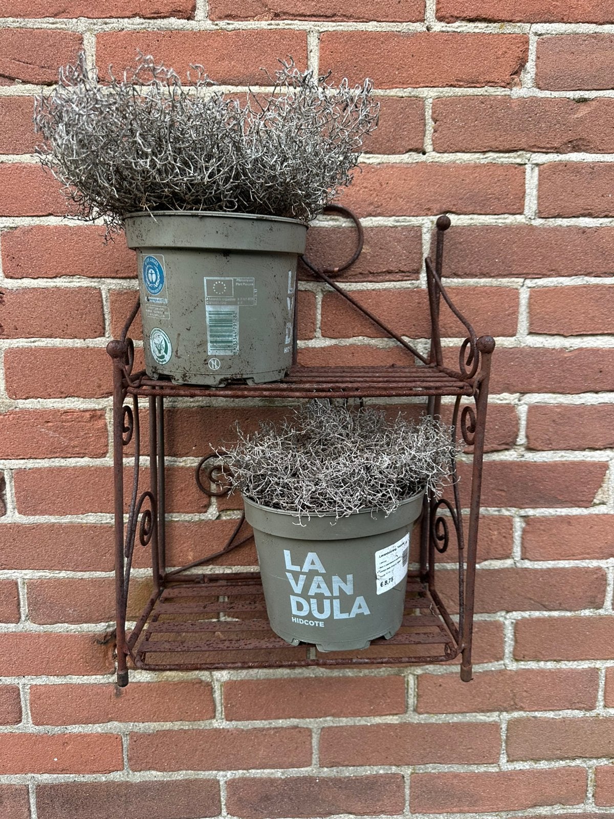 Decoratief metalen wandrek voor planten of kruiden, Ophalen, Gebruikt, Balkon, Minder dan 60 cm