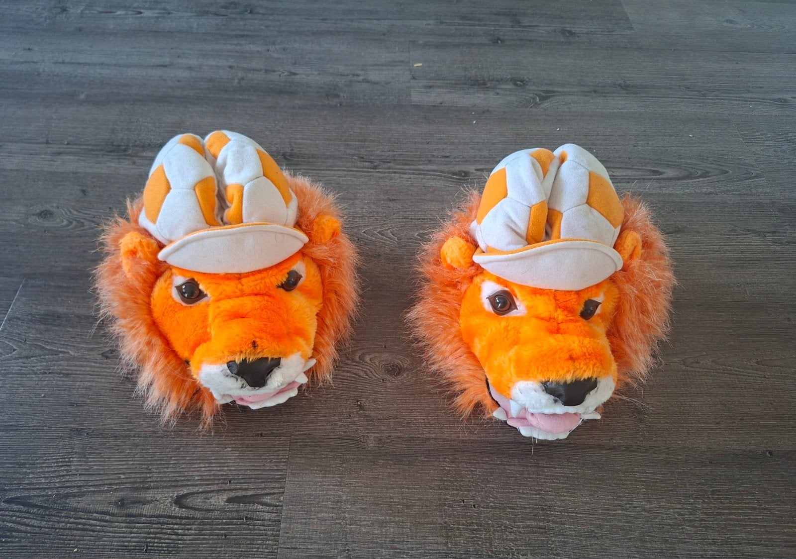 Oranje Leeuw(innen) Schoenhoezen WK Voetbal, Ophalen of Verzenden, Zo goed als nieuw, Oranje of Koningsdag