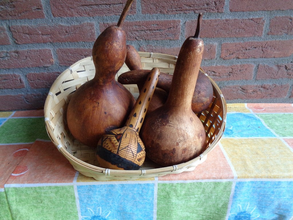 Gedrogde pompoenen, Ophalen, Nieuw, Overige typen