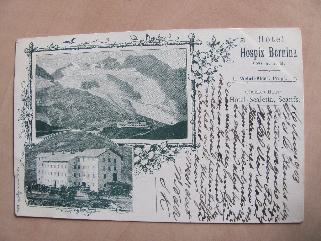 Bernina Hospiz 1903, Ophalen of Verzenden, Voor 1920, Gelopen, Overig Europa