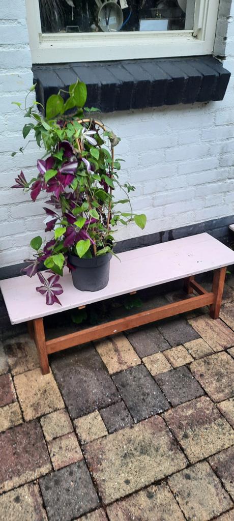Houten bankje hard hout met lichtroze blad, Ophalen