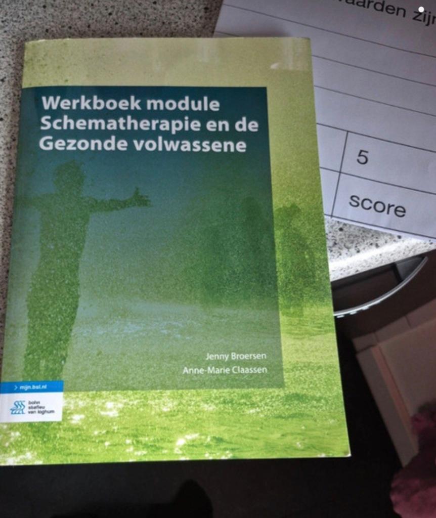 Werkboek Schematherapie en de Gezonde Volwassene, Zo goed als nieuw, Gamma, Jenny Broersen, Anne-Marie Claassen, HBO