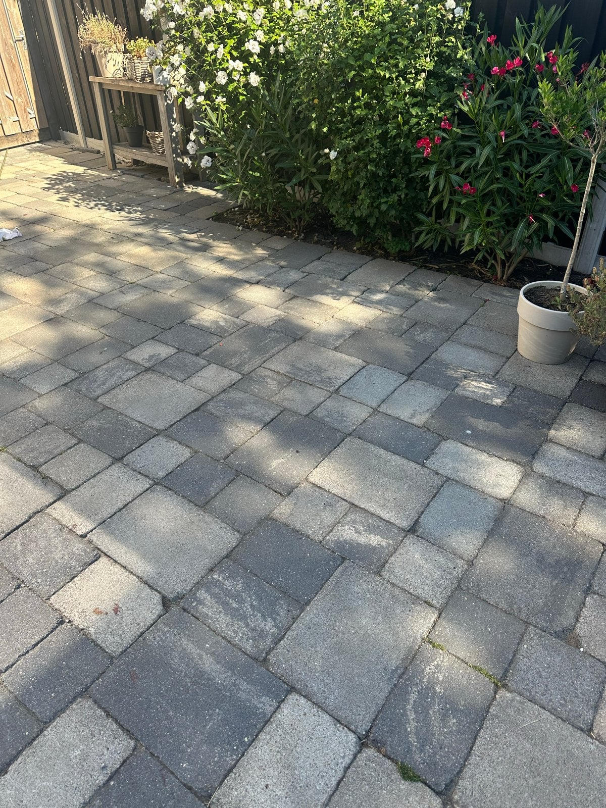 Gratis 60 m2 Gebruikte tegels/stenen voor terras of pad, Ophalen, Gebruikt, 10 m² of meer, Beton