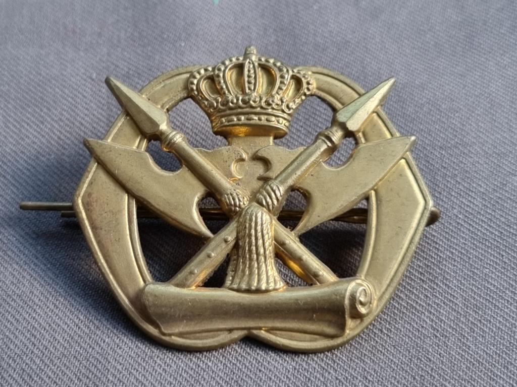 Oud baretembleem Militair Juridische Dienst (oogjes), Ophalen of Verzenden, Landmacht, Nederland, Embleem of Badge