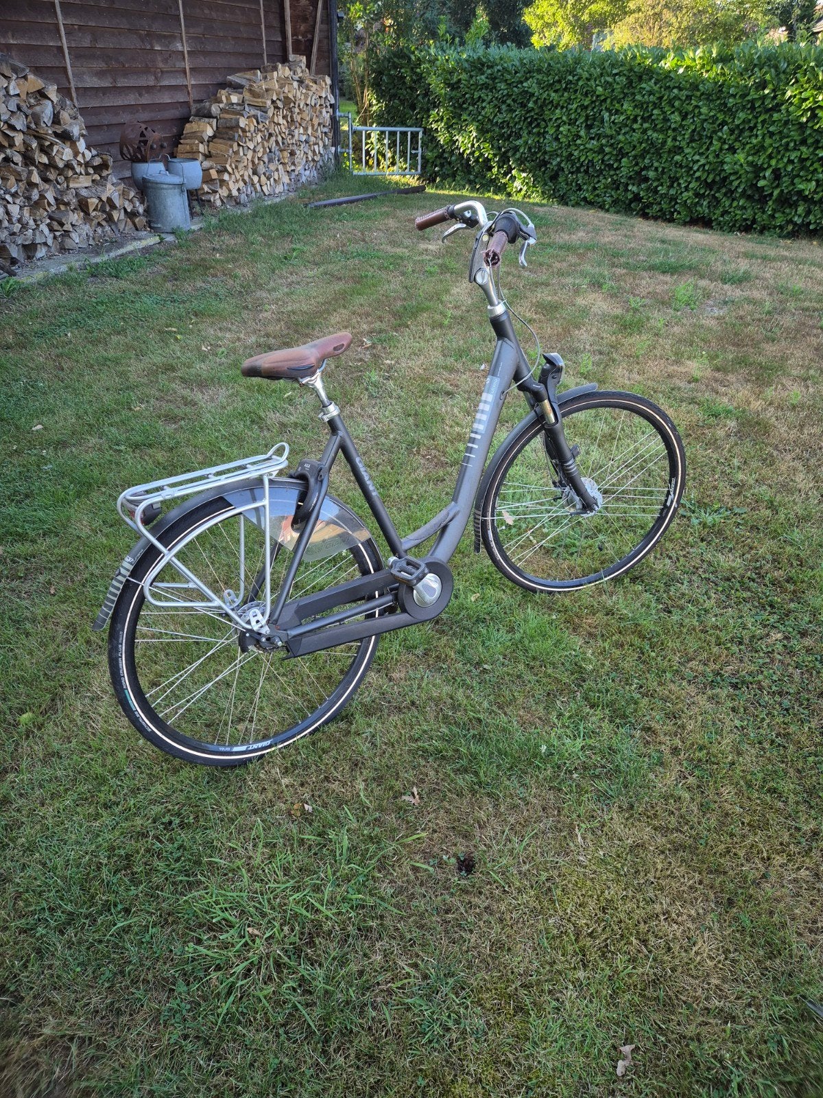 Damesfiets Giant, Ophalen, Gebruikt, Giant