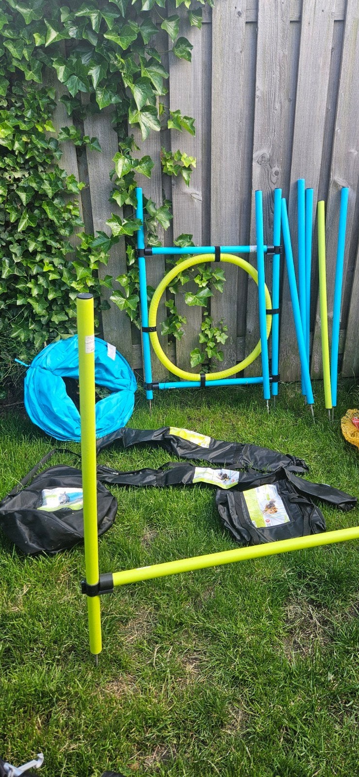 Agility set honden speelgoed zoofari, Ophalen, Gebruikt, Intelligentiespeelgoed