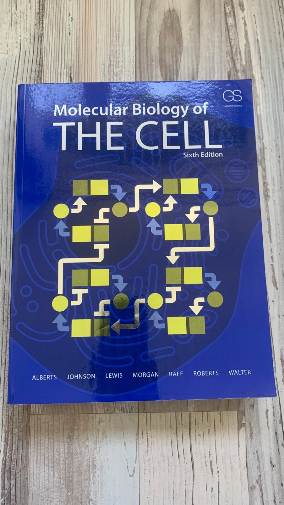 Molecular biology the cell |9780815344643, Ophalen of Verzenden, Beta, Zo goed als nieuw, Niet van toepassing