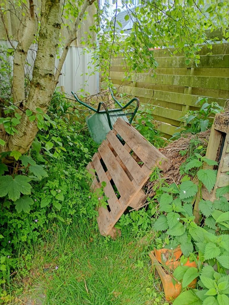 Gratis op te halen pallet, Ophalen of Verzenden