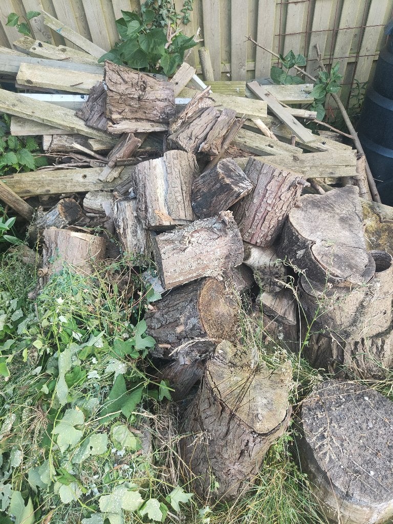 Gratis brandhout, Tuin en Terras, Minder dan 3 m³, Ophalen, Overige houtsoorten, Stammen