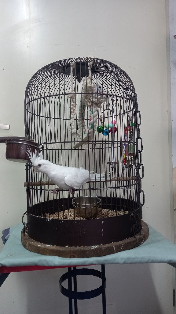 Zolux Vogelkooi Retro Marthe, Ophalen, Zo goed als nieuw, Metaal, Vogelkooi