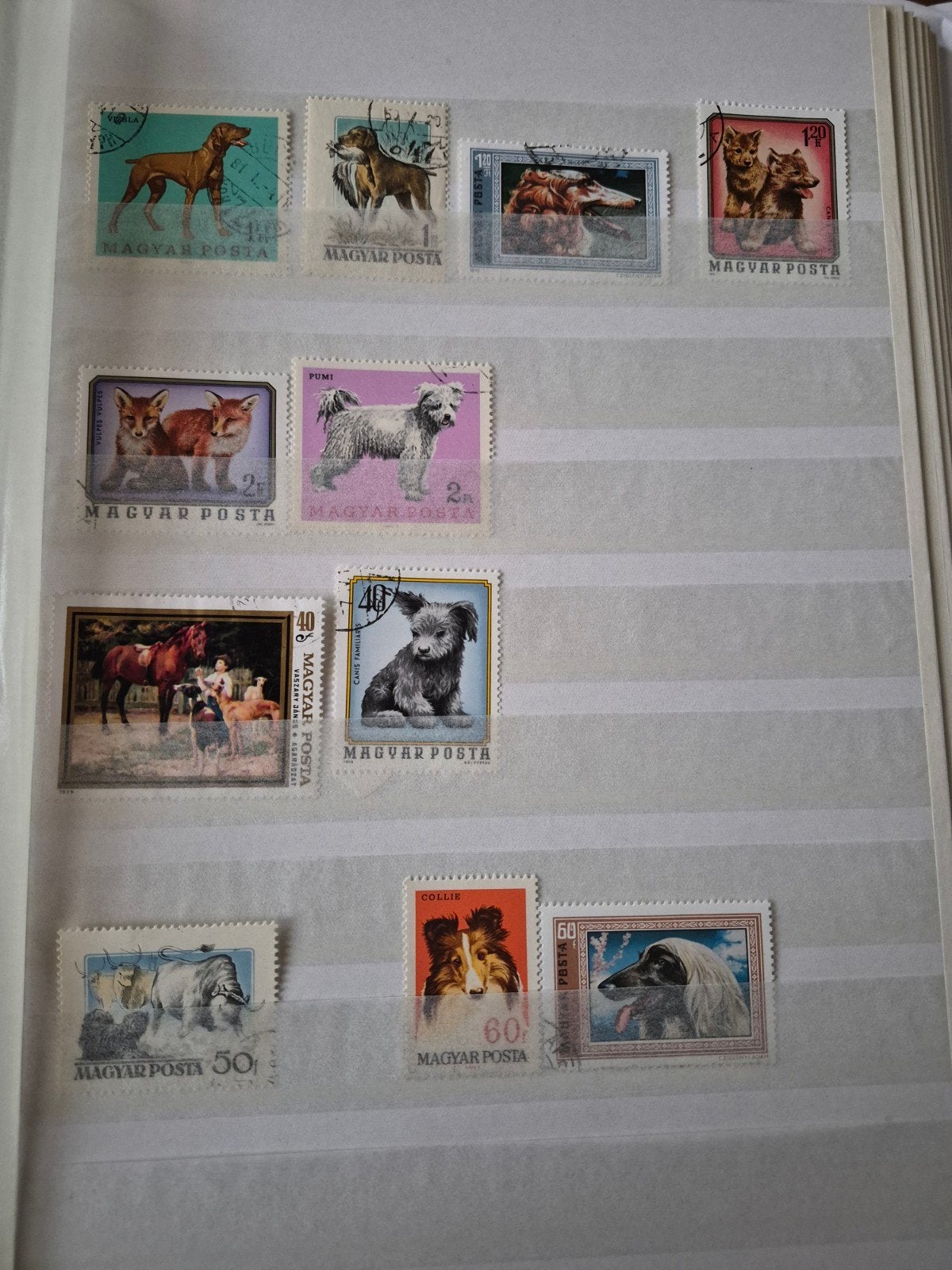 Verzameling Hongaarse postzegels - Honden en Dieren, Ophalen of Verzenden, Overige landen, Gestempeld