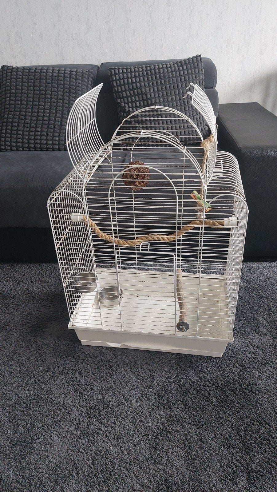 Te koop grote vogelkooi gebruikt, Ophalen, Gebruikt, Metaal, Vogelkooi