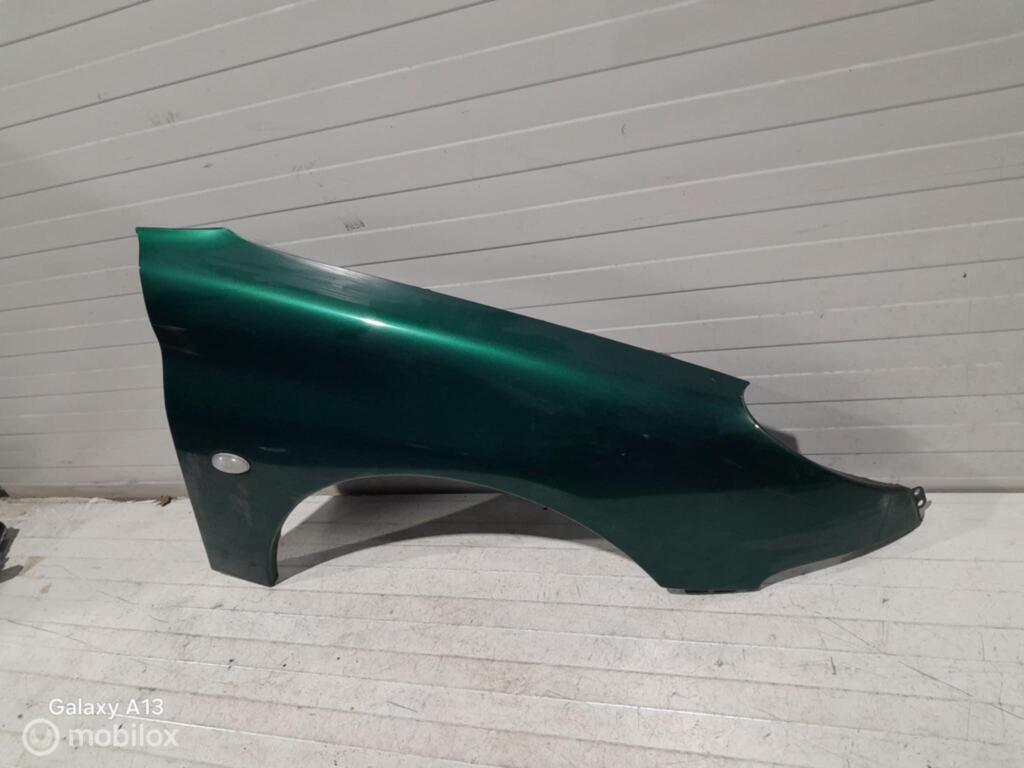 Spatscherm Peugeot 206, Auto-onderdelen, Gebruikt, Ophalen of Verzenden