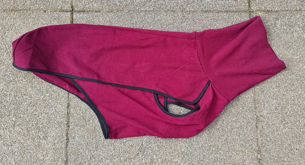 Honden trui 42 cm rug lengte, Ophalen, Hondentrui
