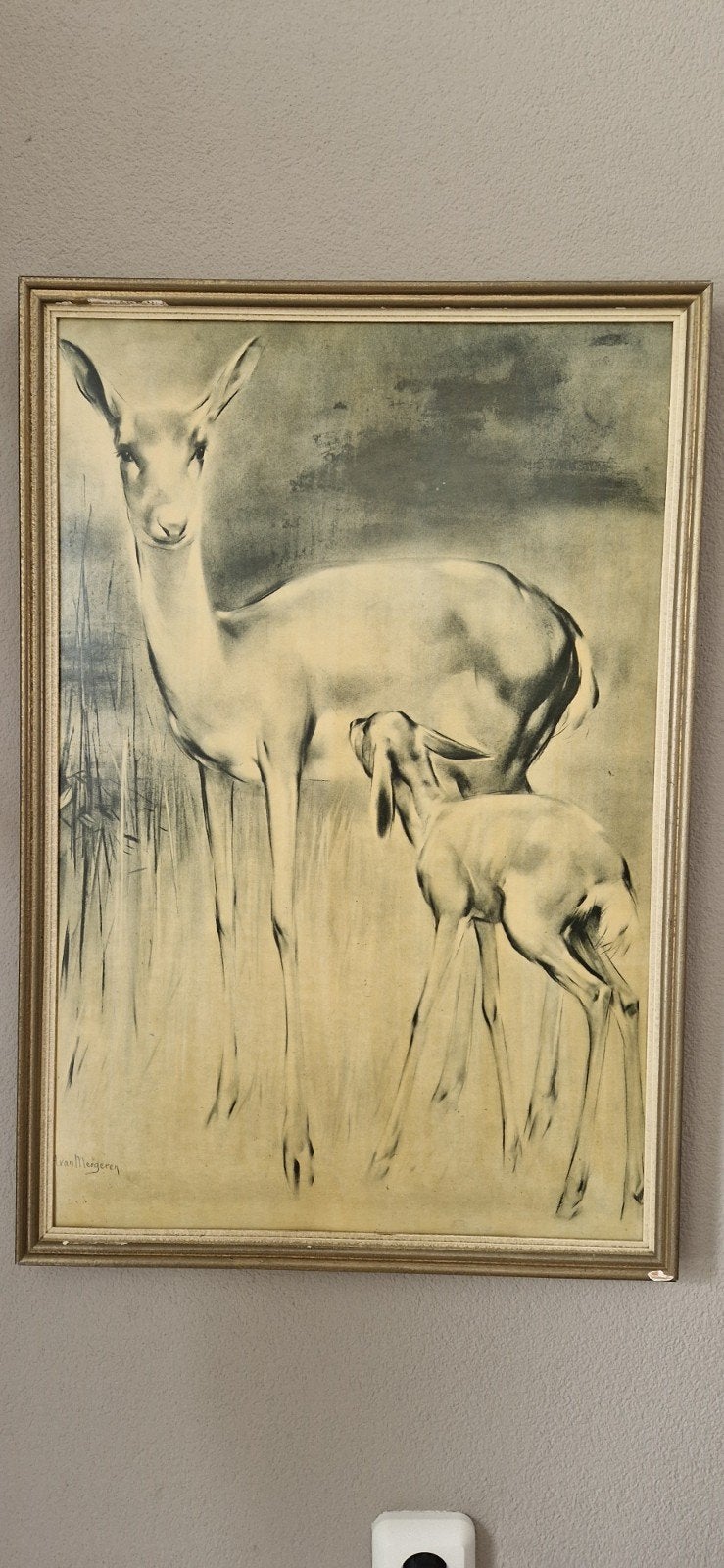 Vintage Hertenprint met Kalfje - Ingelijst, Ophalen