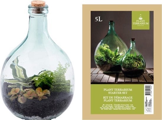 Plant Terrarium Starter Set 5L - Nieuw in doos, Ophalen of Verzenden