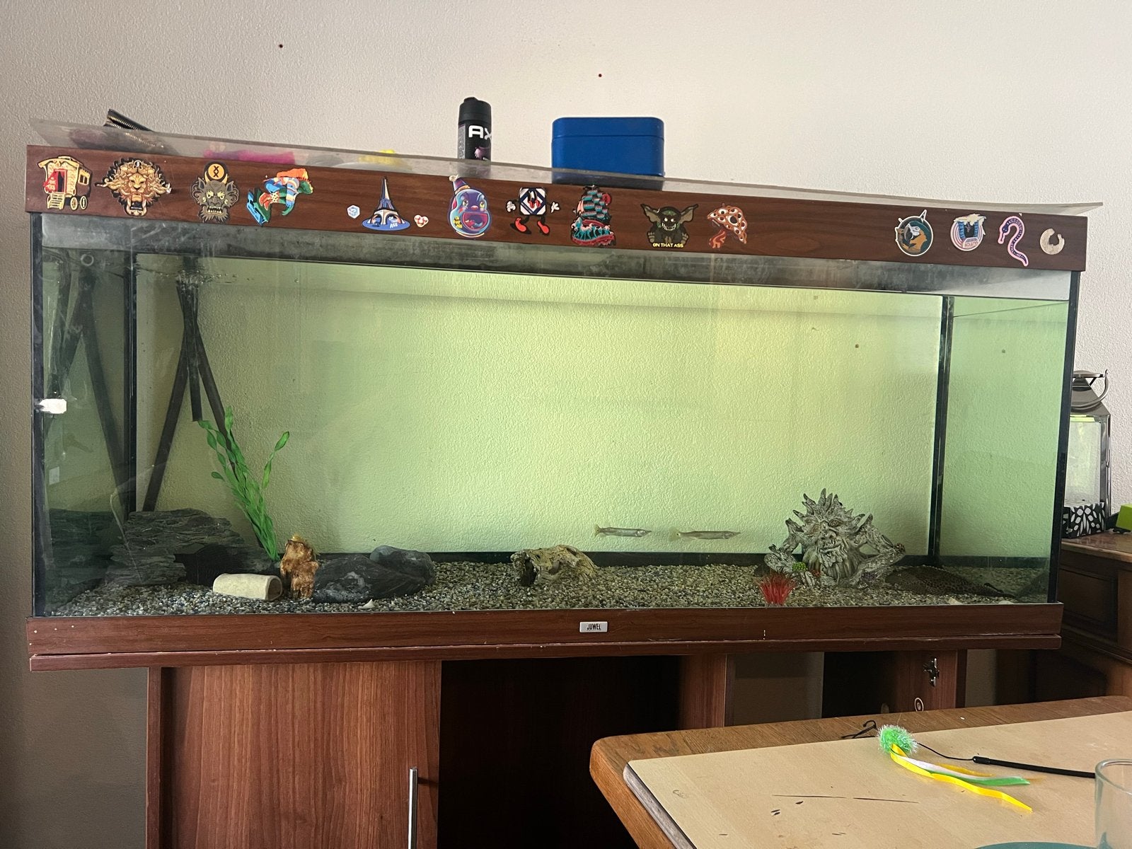 Aquarium rio 450, Ophalen, Gebruikt, Juwel, Inclusief toebehoren