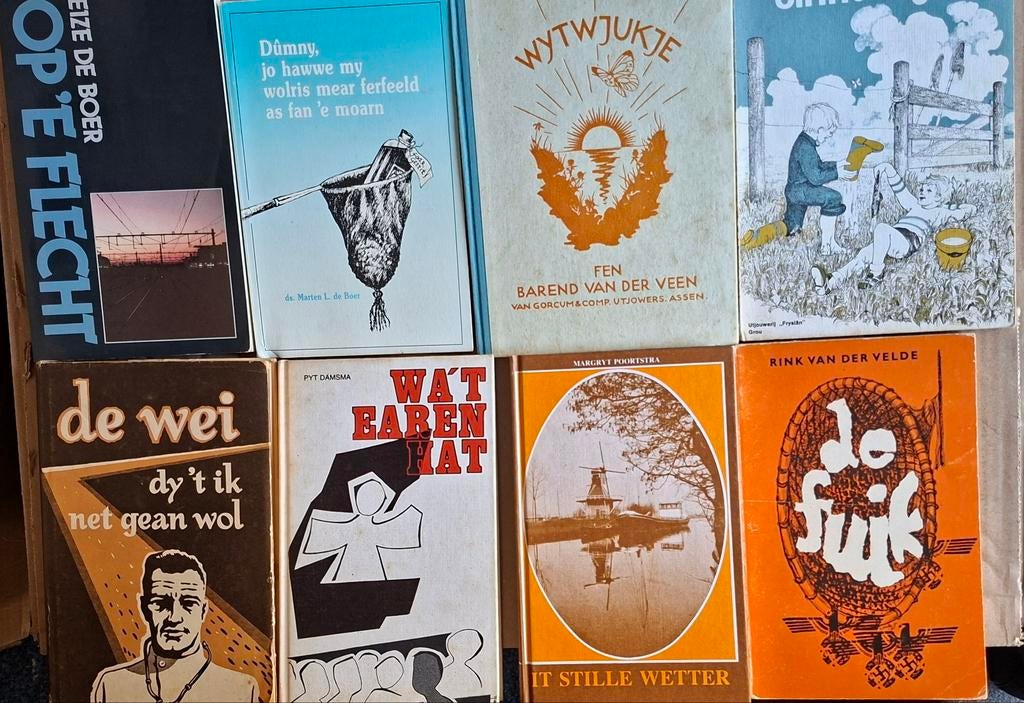 Friese boeken, Ophalen of Verzenden, Zo goed als nieuw, Nederland