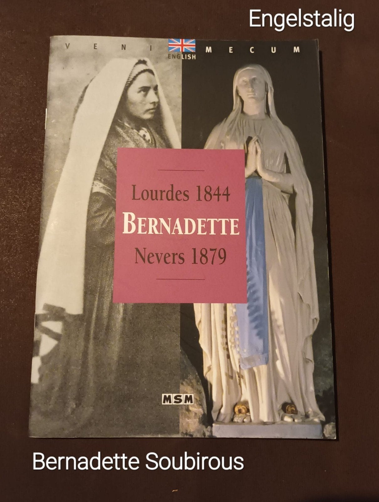 Bernadette Soubirous: Leven, Dood en Spiritualiteit, Boeken, Godsdienst en Theologie, Zo goed als nieuw, Verzenden