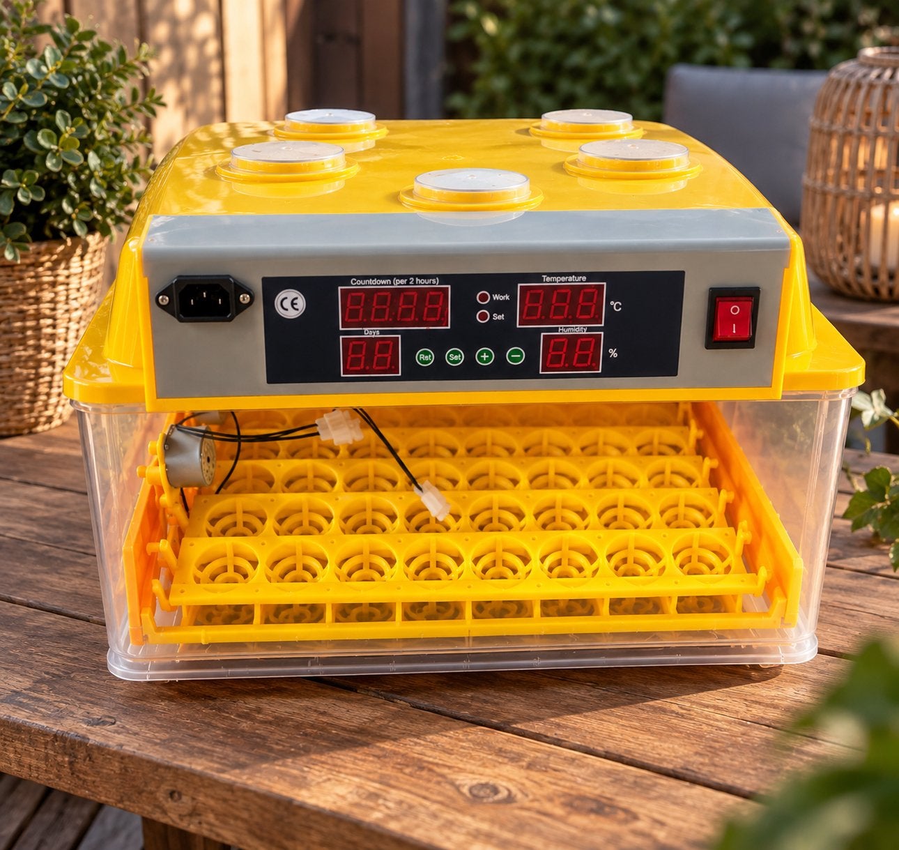 Broedmachine voor 112 eieren – volautomatisch, Dieren en Toebehoren, Ophalen