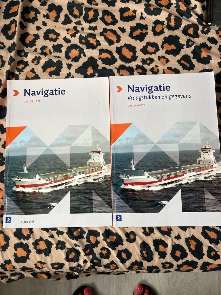 Navigatie boeken L.W. Naudts (5e druk), Boeken, Studieboeken en Cursussen, Ophalen of Verzenden, Beta, Zo goed als nieuw, HBO