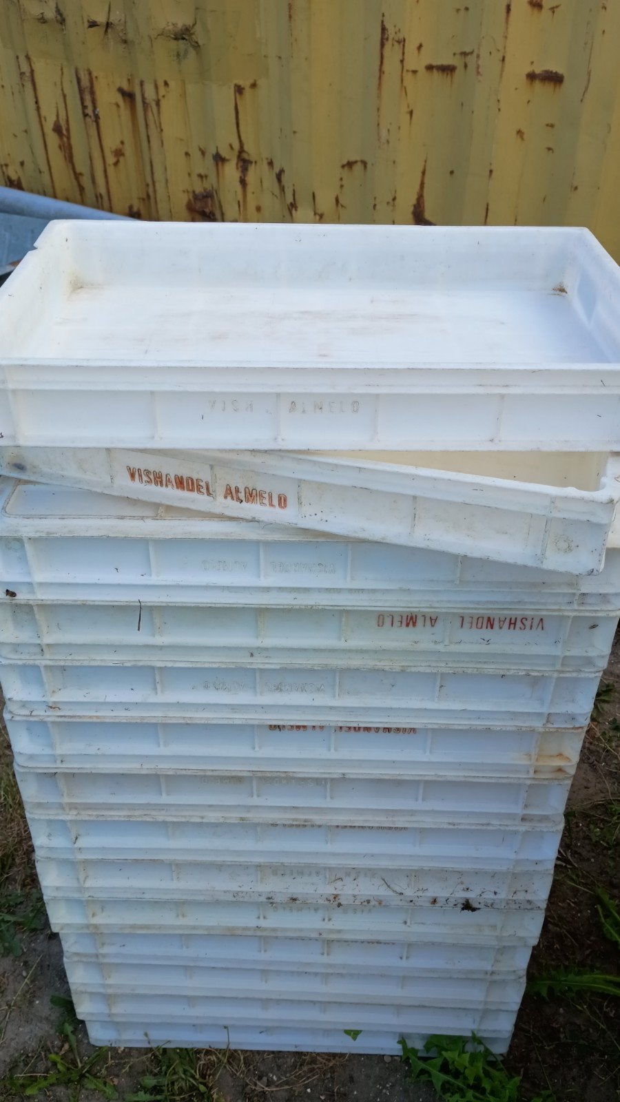 Deegkrat / Viskrat dicht 60x40x8 cm stapelbaar transportbak, Ophalen, Gebruikt, 40 tot 60 cm, 50 tot 75 cm