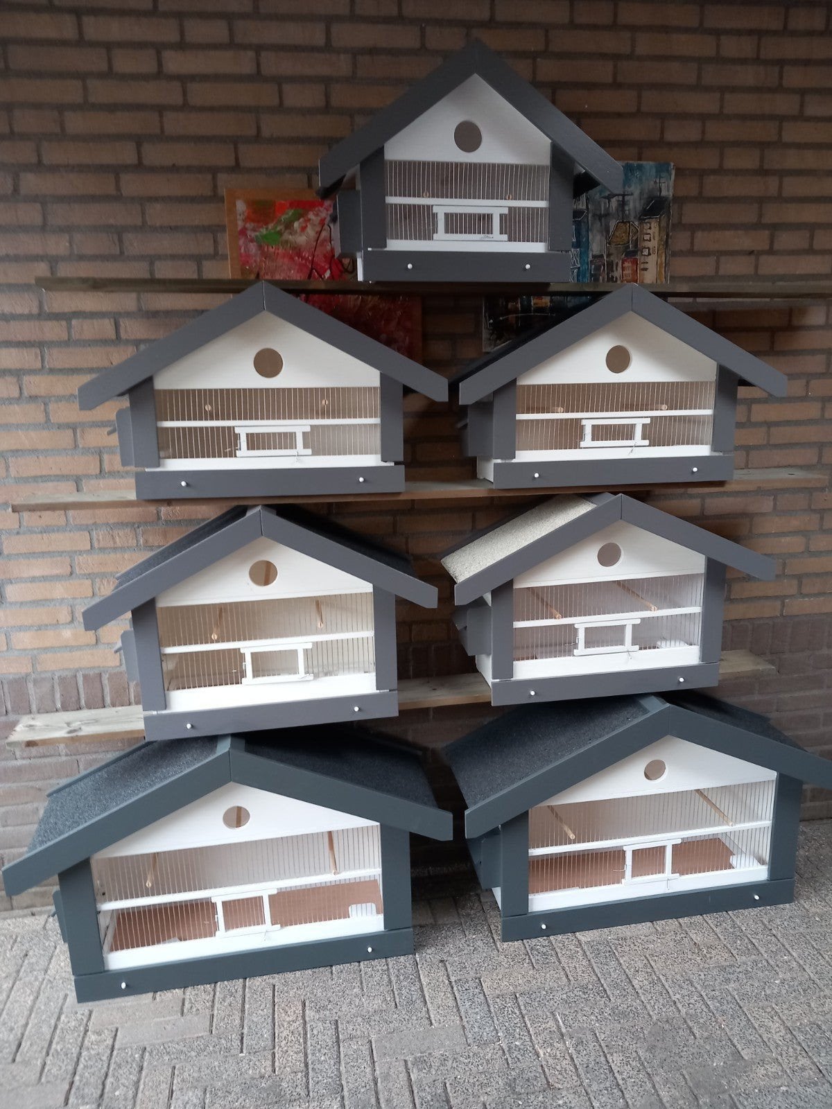 Putter x kanarie, Dieren en Toebehoren, Mannelijk, Wildzangvogel