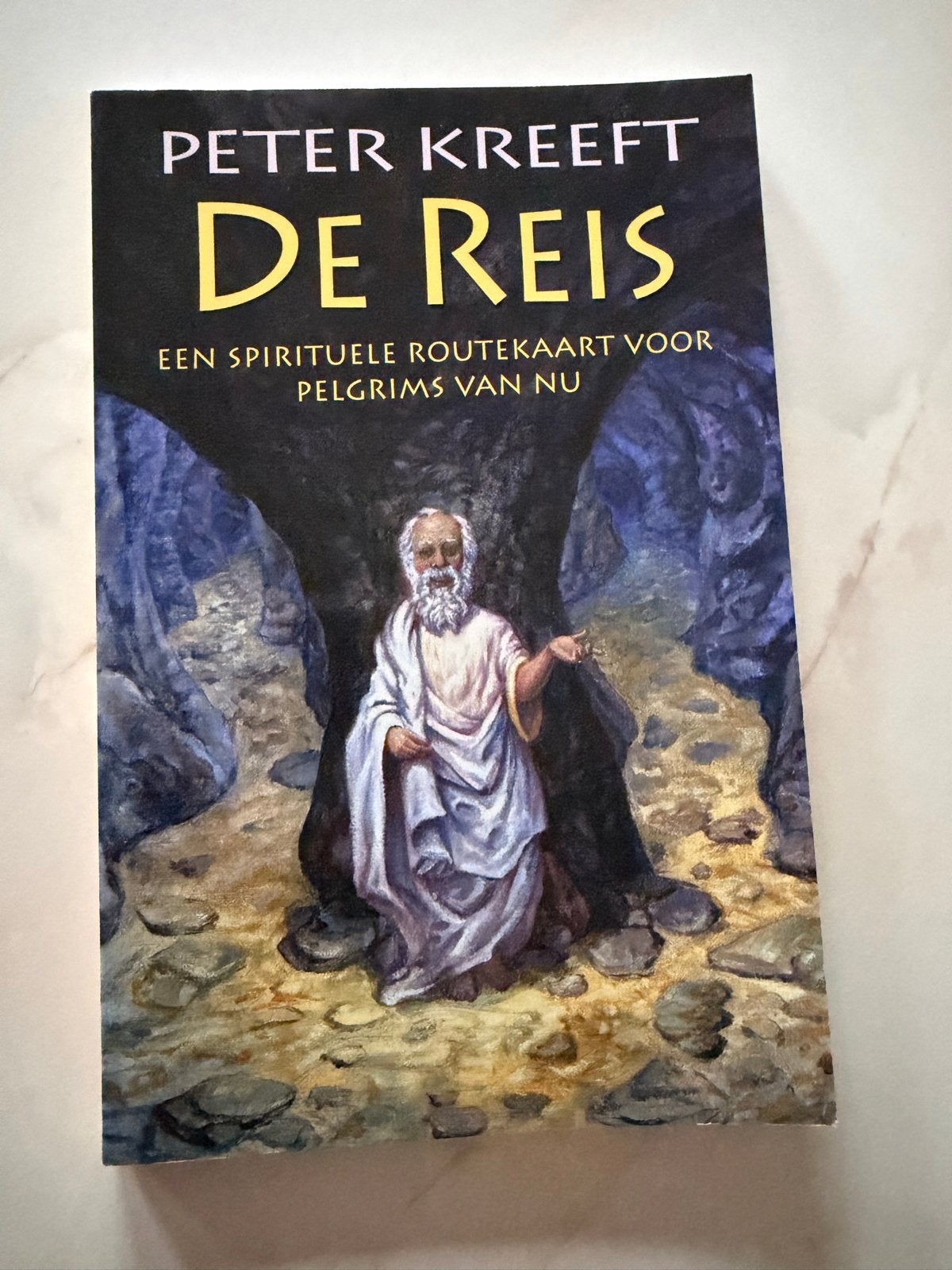 De Reis: Een Spirituele Routekaart voor Pelgrims van Nu, Boeken, Ophalen of Verzenden, Zo goed als nieuw, Spiritualiteit algemeen