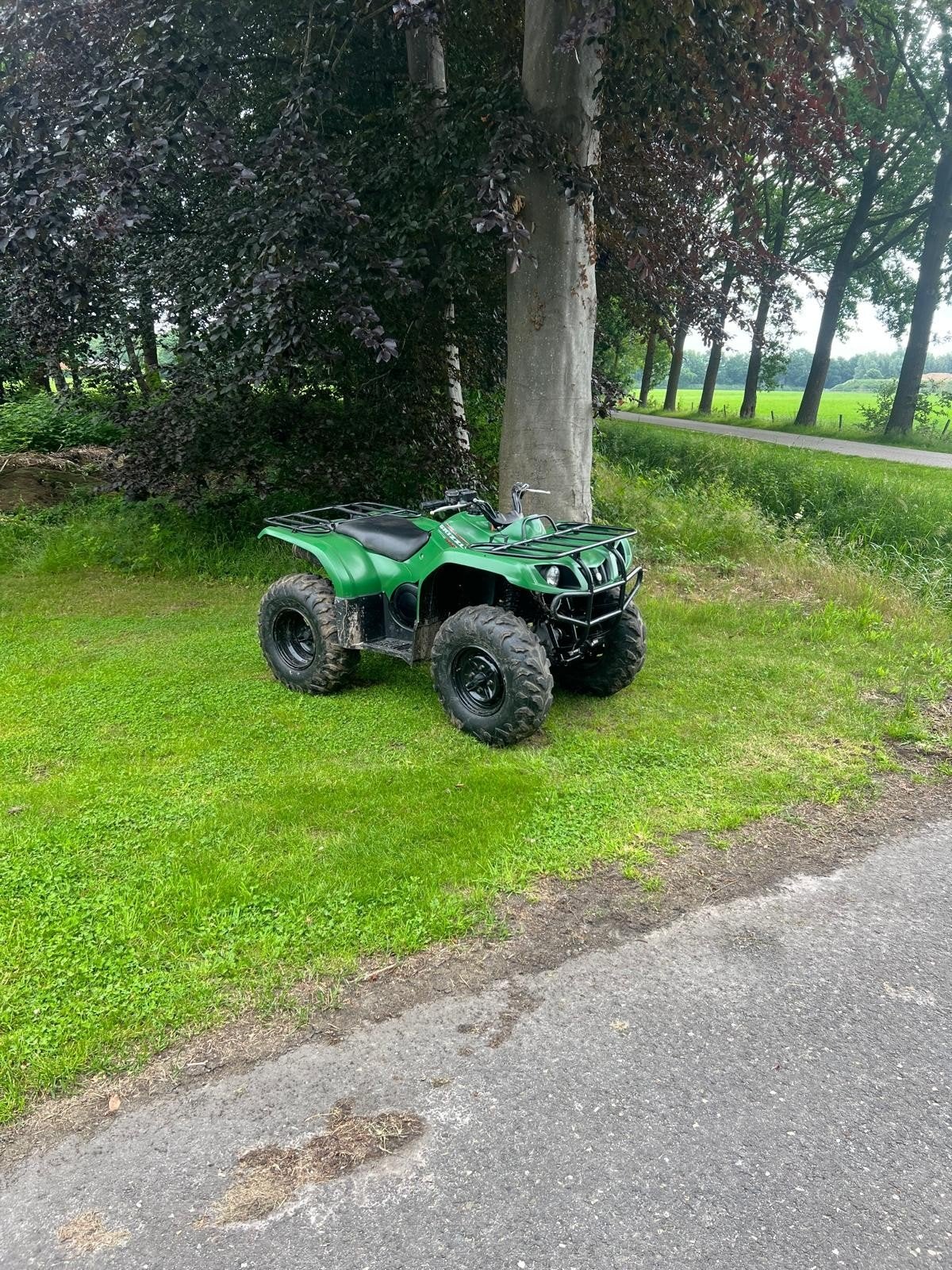 Yamaha grizzly 350 4x4 Ultramatic, Ophalen of Verzenden
