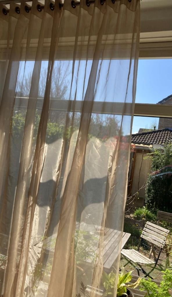 Goudkleurige vitrage, 6,5 meter, modern chique, met ringen, Ophalen of Verzenden, Zo goed als nieuw