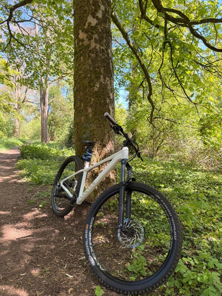 Canyon Stoic 2 XL, 24 inch of meer, Velgrem, V-brakes, Ophalen of Verzenden
