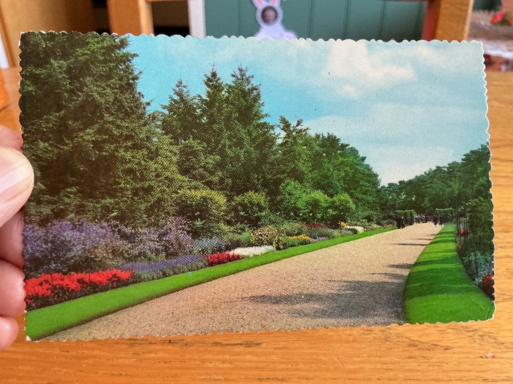 Apeldoorn berg en Bos, Verzenden, 1940 tot 1960, Ongelopen, Gelderland