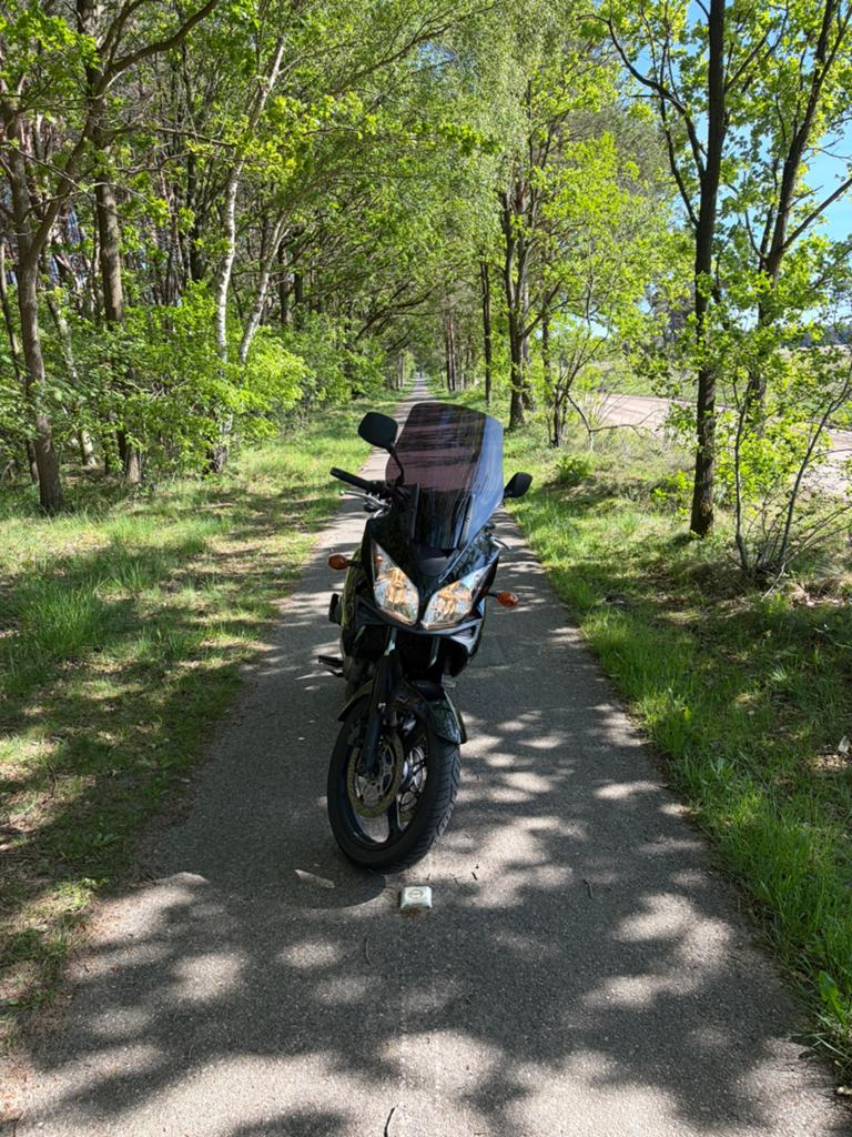 Suzuki V-Strom 1000, Motoren, 2 cilinders, Motorrijbewijs A, Gebruikt, Particulier