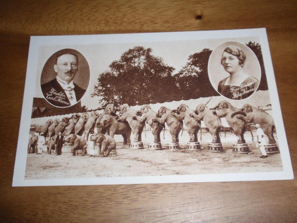 Circus Krone met Eigenaar en Vrouw Olifanten, Verzamelen, Verzenden, Voor 1920, Ongelopen, Overige thema's