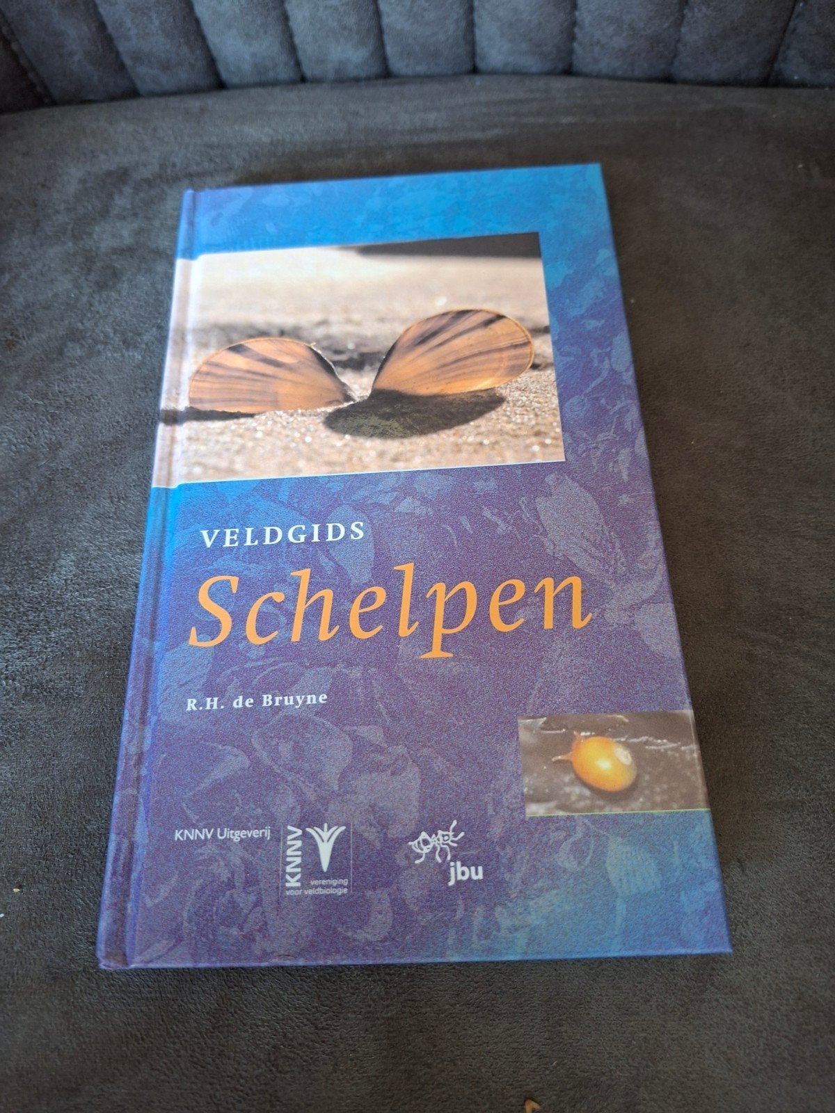 Veldgids Schelpen - K.H. de Bruyne, Boeken, Natuur, Ophalen of Verzenden, Zo goed als nieuw