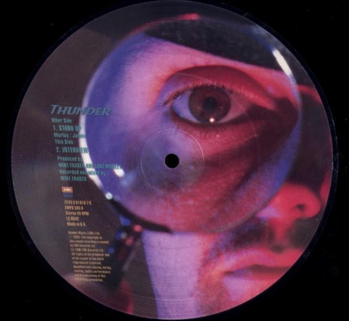 Picture Disc  -  THUNDER - Stand up   met  kalender poster, Ophalen of Verzenden, 2000 tot heden, Zo goed als nieuw, 12 inch