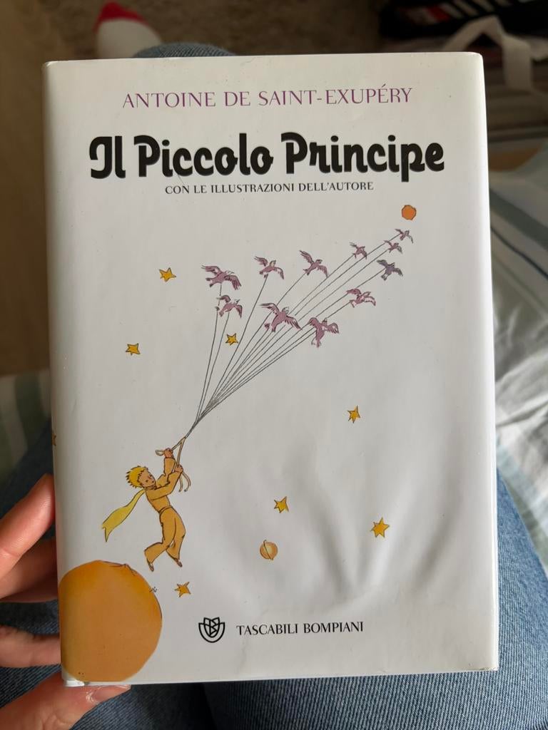 Il Piccolo Principe in Italian, Ophalen of Verzenden, Zo goed als nieuw