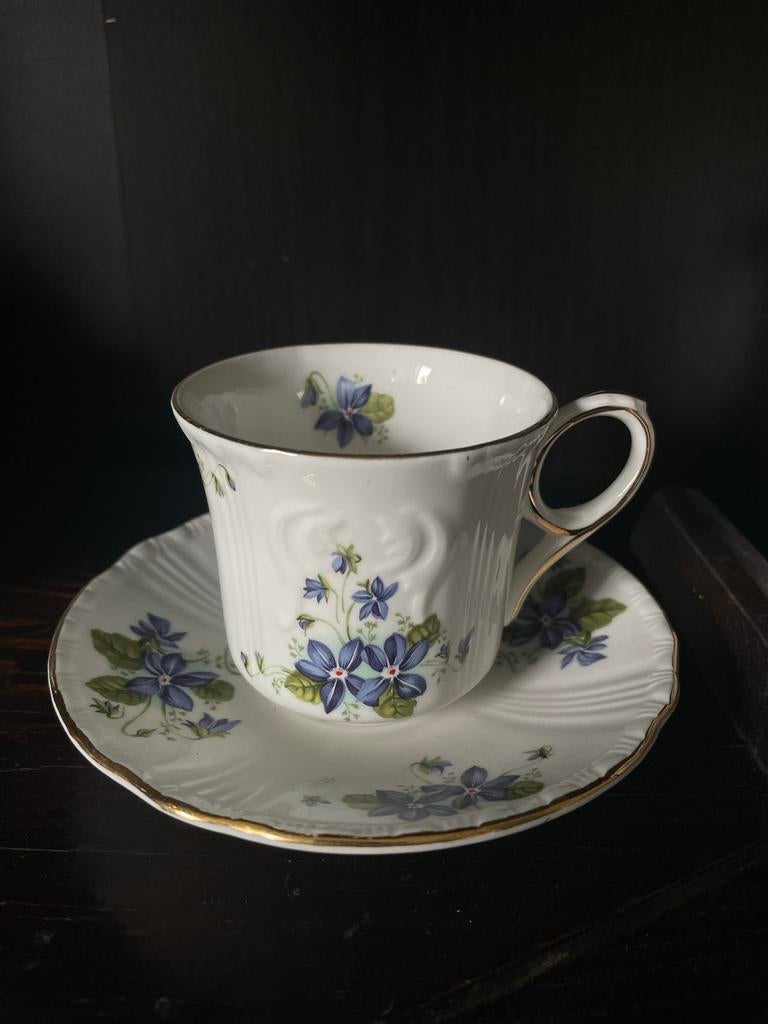 Royal Grafton Violets Jacobean kop en schotel, Antiek en Kunst, Ophalen of Verzenden