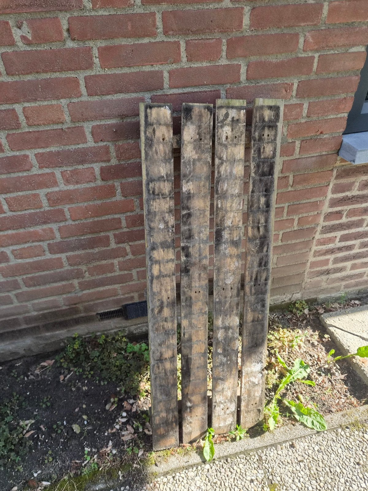 Pallet (stookhout), Doe-het-zelf en Verbouw, Hout en Planken, Ophalen