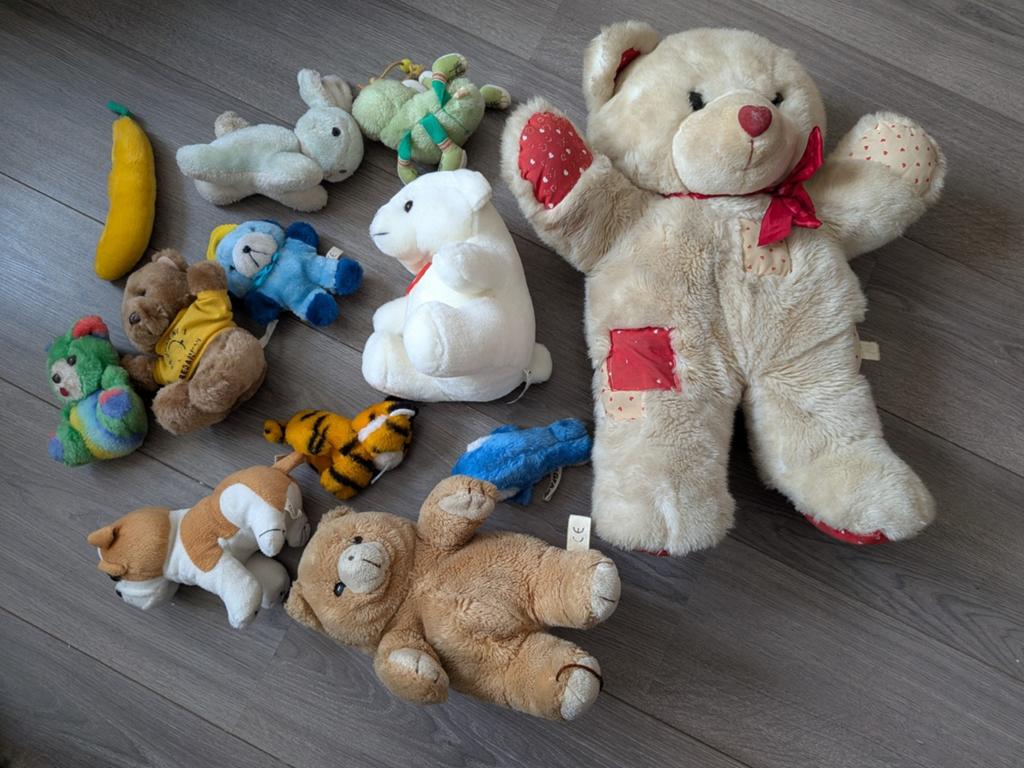 Diverse knuffels gratis op te halen, Ophalen, Gebruikt, Beer, Middelgroot (20 tot 80 cm)