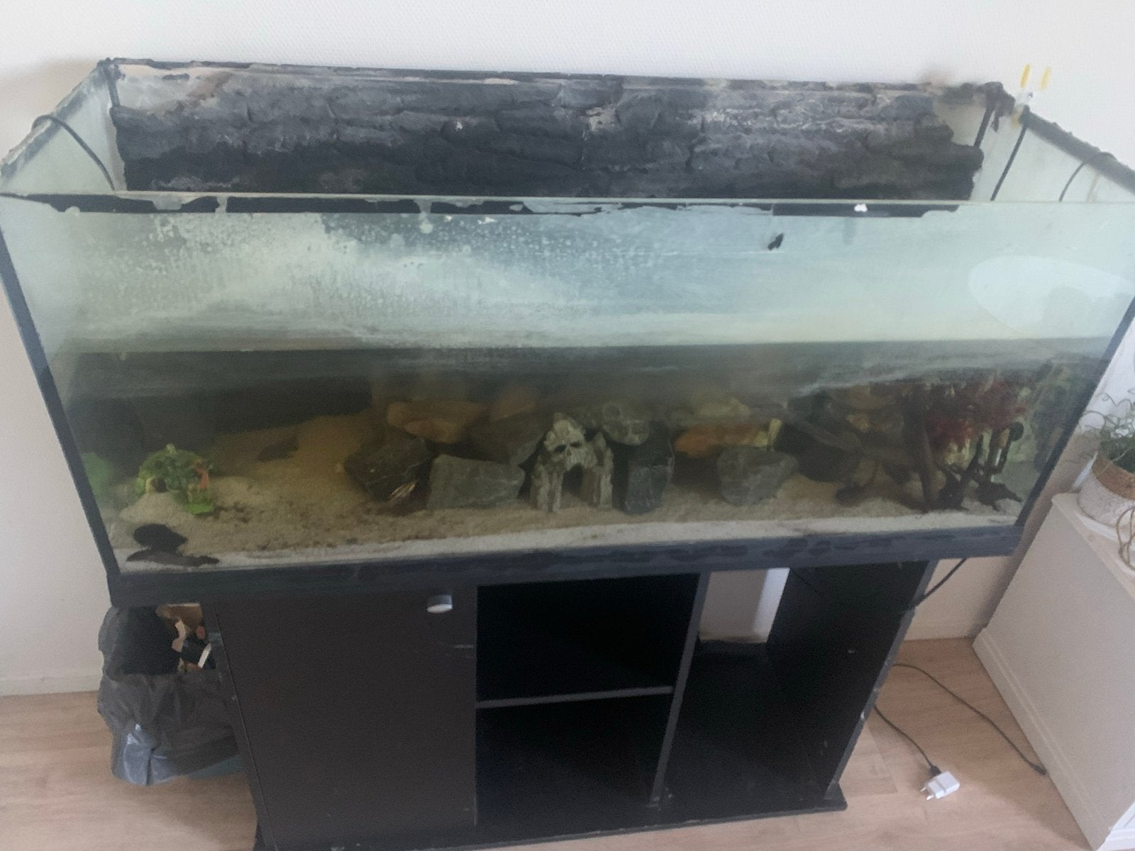 Aqarium 120 cm lang, Dieren en Toebehoren, Vissen | Aquaria en Toebehoren, Ophalen
