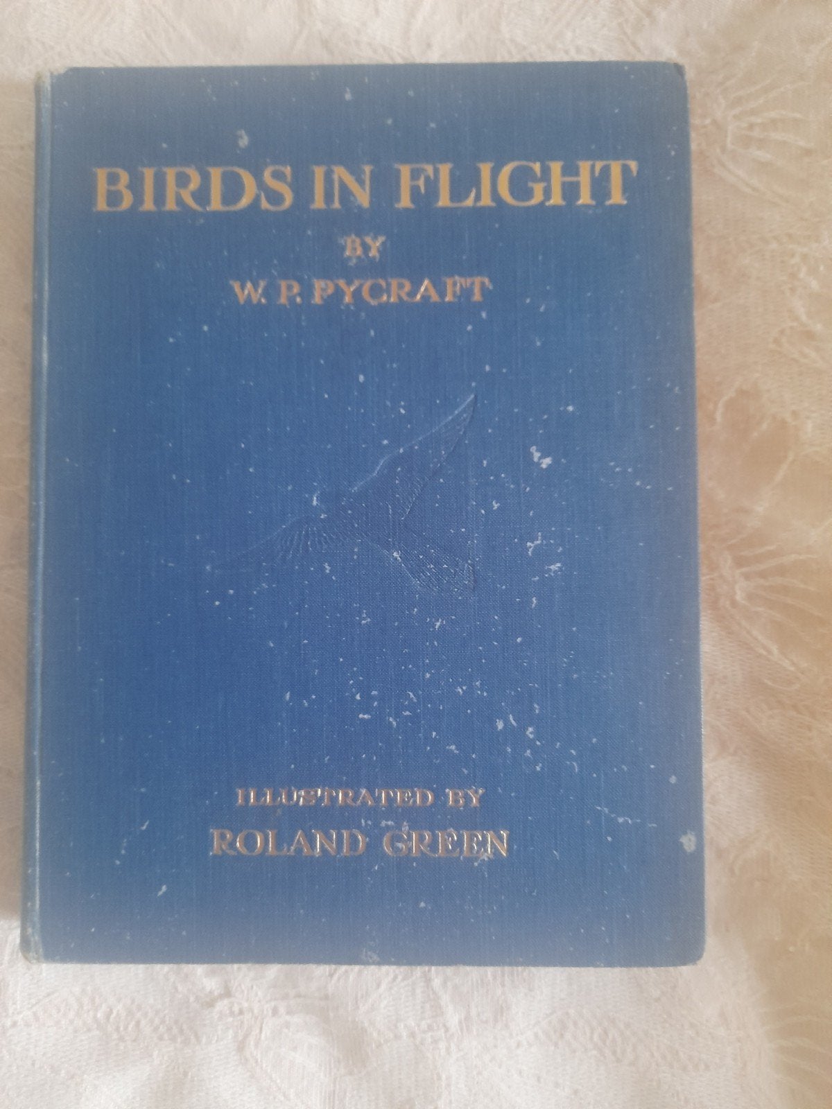 Birds in Flight - W.P. Pycraft (1922) - Geïllustreerd, Boeken, Ophalen of Verzenden, Gelezen