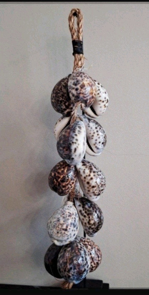 Tijgerschelpen ketting bruin groot op zwarte voet japandi, Nieuw, Ophalen of Verzenden, X, X