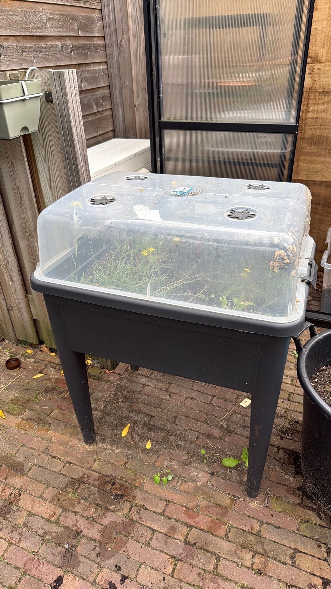 Moestuin kweektafel, Ophalen, Gebruikt, Kweekbak