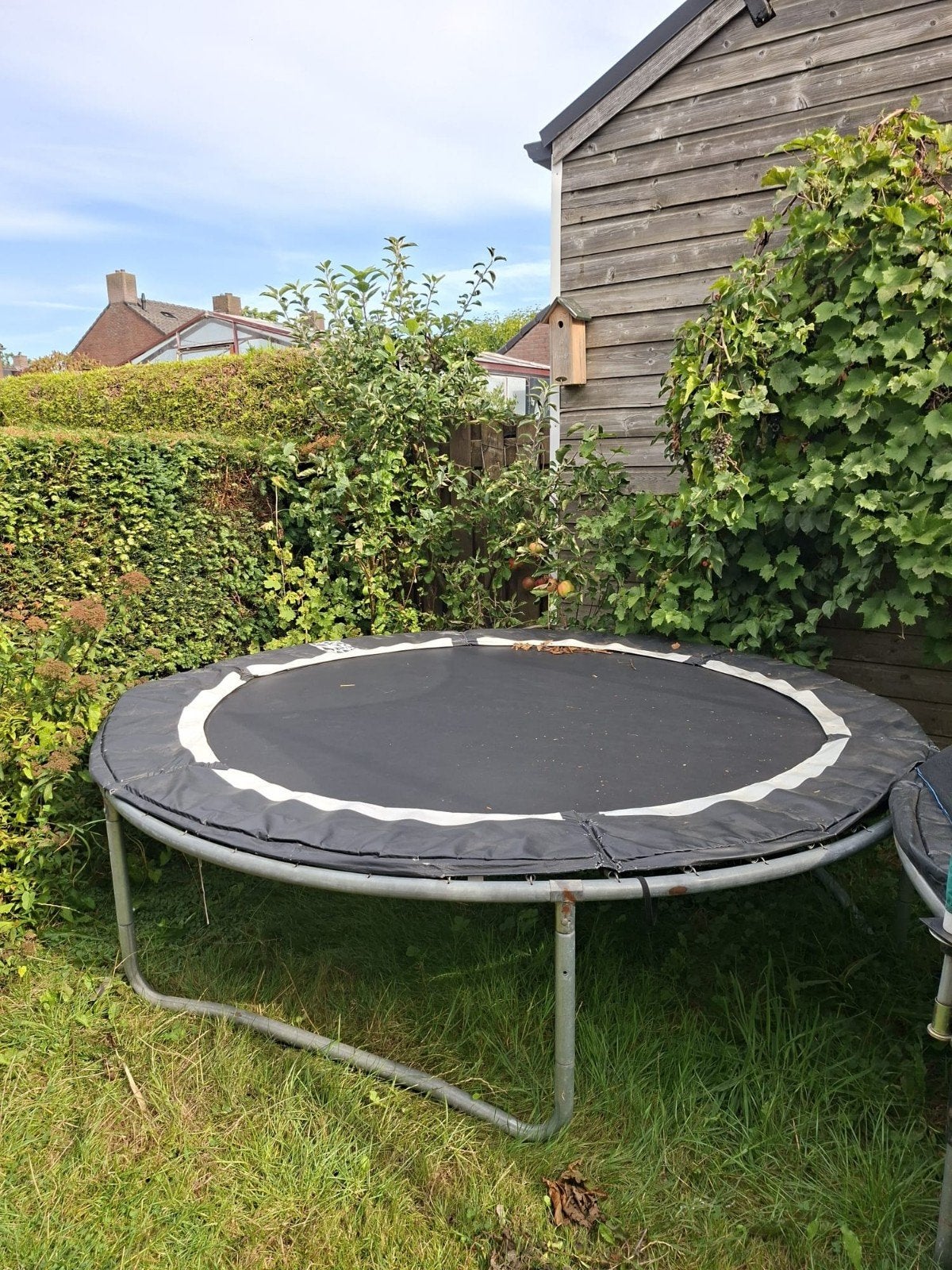 Gebruikte trampoline - Nova, Kinderen en Baby's, Ophalen, Gebruikt