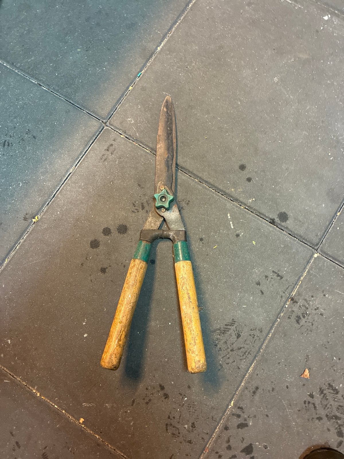 Heggenschaar met houten handvatten, Tuin en Terras, Ophalen of Verzenden, Gebruikt, Handmatig