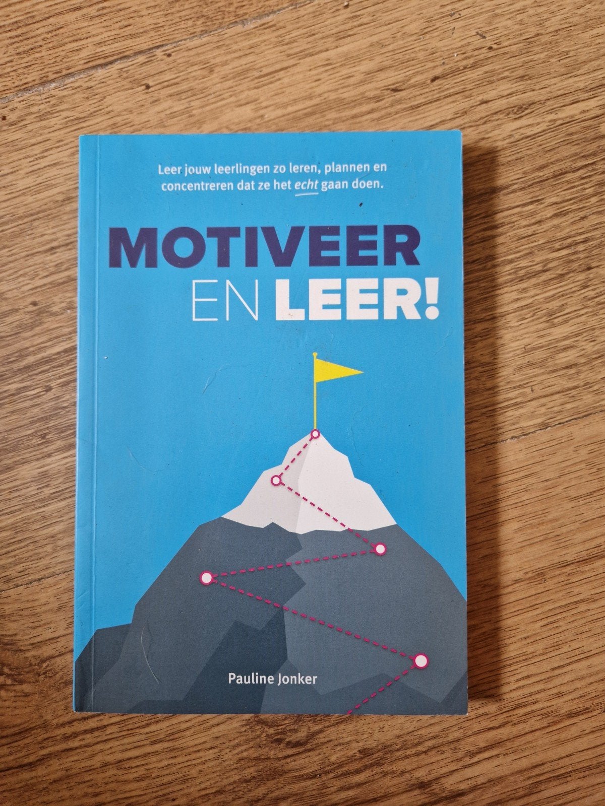 Motiveer en Leer! - Pauline Jonker, Boeken, Ophalen of Verzenden, Zo goed als nieuw, Gamma, Pauline Jonker